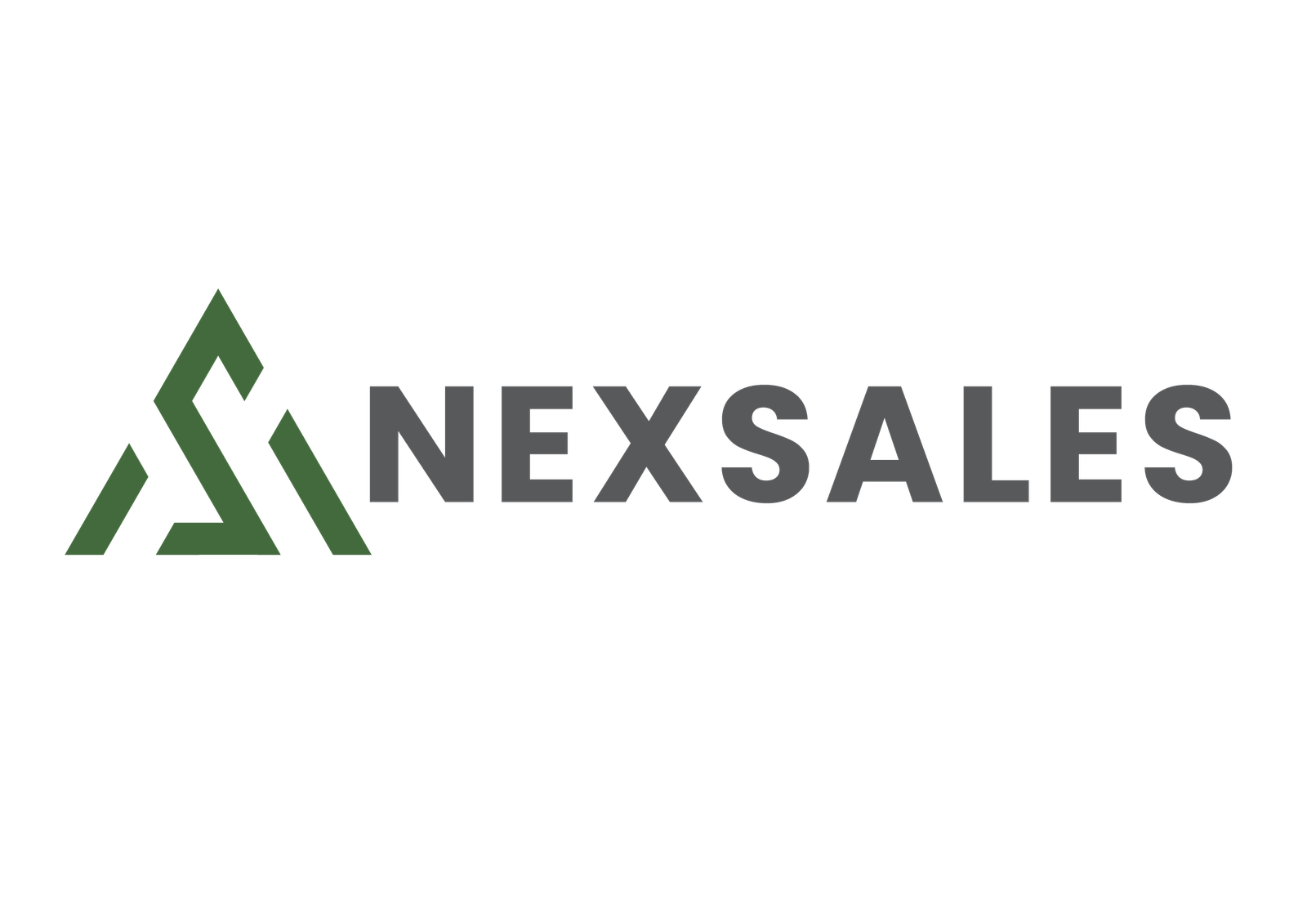 NexSales Logo