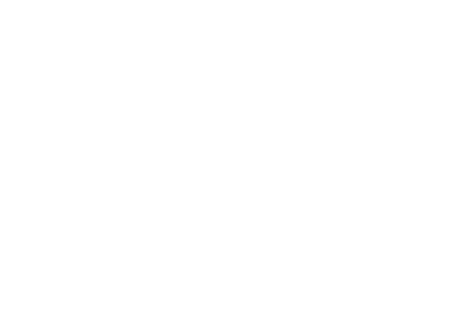 NexSales Logo